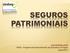 SEGUROS PATRIMONIAIS. www.sindsegsc.org.br PDES Programa de Desenvolvimento dos Executivos do Seguro Agosto/2013