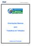 Orientações Básicas. para. Trabalhos em Telhados