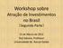 Workshop sobre Atração de Investimentos no Brasil (Segunda Parte) 21 de Marco de 2012 Teiji Sakurai, Professor Universidade de Kansai Gaidai