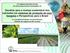 Desafios para o manejo sustentável dos nutrientes em sistemas de produção de soja: Gargalos e Perspectivas para o Brasil