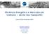 Eficiência Energética e Mercados de Carbono Sector dos Transportes