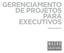 GERENCIAMENTO DE PROJETOS PARA EXECUTIVOS TREINAMENTO