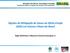 Opções de Mitigação de Gases de Efeito Estufa (GEE) em Setores-Chave do Brasil