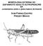 MORFOLOGIA EXTERNA DO GAFANHOTO ADULTO EUTROPIDACRIS SP. comentários sobre o plano básico de Insecta IVAN FARIAS CASTRO FREDDY BRAVO