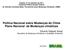 Politica Nacional sobre Mudanças do Clima Plano Nacional de Mudanças climáticas