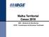 Malha Territorial Censo 2010. DGC - Diretoria de Geociências CETE - Coordenação de Estruturas Territoriais