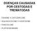 DOENÇAS CAUSADAS POR CESTODAS E TREMATODAS TENÍASE X CISTICERCOSE EQUINOCOCOSE X HIDATIDOSE FASCIOLOSE PLATINOSOMIASE