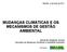 MUDANÇAS CLIMÁTICAS E OS MECANISMOS DE GESTÃO AMBIENTAL