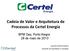 Cadeia de Valor e Arquitetura de Processos da Certel Energia