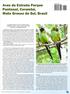 Aves da Estrada Parque Pantanal, Corumbá, Mato Grosso do Sul, Brasil