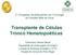 Transplante de Células Tronco Hematopoéticas