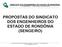 PROPOSTAS DO SINDICATO DOS ENGENHEIROS DO ESTADO DE RONDÔNIA (SENGE/RO)