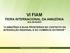 VI FIAM FEIRA INTERNACIONAL DA AMAZÔNIA 26 A 29/10/2011 A AMAZÔNIA E SUAS FRONTEIRAS NO CONTEXTO DA INTEGRAÇÃO REGIONAL E DO COMÉRCIO EXTERIOR