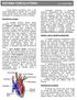 SISTEMA CIRCULATÓRIO. Prof. André Maia