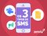 O universo do SMS é cheio de particularidades. No Brasil, o mercado de SMS é dividido em três tipos: o corporativo, o interativo e o marketing.