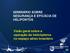 SEMINÁRIO SOBRE SEGURANÇA E EFICÁCIA DE HELIPONTOS. Visão geral sobre a operação de helicópteros no espaço aéreo brasileiro