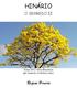 HINÁRIO. Regina Pereira O SEGREDO II. Tema 2012: Flora Brasileira Ipê Amarelo (Tabebuia alba)