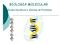 BIOLOGIA MOLECULAR. Ácidos Nucléicos e Síntese de Proteínas