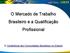 O Mercado de Trabalho Brasileiro e a Qualificação Profissional. IV Conferência das Comunidades Brasileiras no Exterior