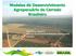 Modelos de Desenvolvimento Agropecuário do Cerrado Brasileiro. Paulo César Nogueira Assessor da Secretaria de Relações Internacionais Embrapa