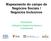 Mapeamento do campo de Negócios Sociais / Negócios Inclusivos. Resultados: Categoria Desenvolvedores e Investidores