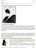 Gestalt. Gestalt é o termo intradutível do alemão utilizado para abarcar a teoria da percepção visual baseada na psicologia da forma.