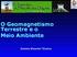 O Geomagnetismo Terrestre e o Meio Ambiente. Daniela Simonini Teixeira