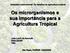 Os microrganismos e sua importância para a Agricultura Tropical