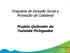 Programa de Inclusão Social e Promoção da Cidadania. Projeto Quilombo da Fazenda Picinguaba