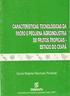 CARACTERÍSTICAS TECNOLÓGICAS DA MICRO E PEQUENA AGROINDÚSTRIA DE FRUTAS TROPICAIS - ESTADO DO CEARÁ