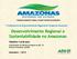 Desenvolvimento Regional e Sustentabilidade no Amazonas