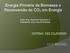 Energia Primária da Biomassa e Reconversão do CO₂ em Energia. Autor: Eng. Raymond Guyomarc h Palestrante: Eng. Hely de Andrade SEE BRASIL