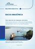 BACIA AMAZÔNICA. Plano Nacional de Integração Hidroviária RELATÓRIO EXECUTIVO