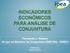 INDICADORES ECONÔMICOS PARA ANÁLISE DE CONJUNTURA. Fernando J. Ribeiro Grupo de Estudos de Conjuntura (GECON) - DIMAC