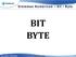 Sistemas Numéricos bit / Byte BIT BYTE. Prof. Celso Candido ADS / REDES / ENGENHARIA