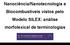 Nanociência/Nanotecnologia e Biocombustíveis vistos pelo Modelo SILEX: análise morfolexical de terminologias