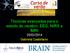 Técnicas avançadas para o estudo do cérebro: EEG, NIRS e fmri 20/02/2014 Gabriela Castellano
