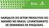 GARGALOS DO SETOR PRODUTIVO DO MAMÃO NO BRASIL: LEVANTAMENTO DE DEMANDAS DE PESQUISAS.