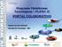 Programa Plataformas Tecnológicas PLATEC II PORTAL COLABORATIVO. Raimar van den Bylaardt Gerente de Tecnologia - IBP