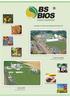 Indústria e Comércio de Biodiesel Sul Brasil S/A