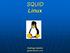 SQUID Linux. Rodrigo Gentini gentini@msn.com