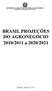 MINISTÉRIO DA AGRICULTURA, PECUÁRIA E ABASTECIMENTO ASSESSORIA DE GESTÃO ESTRATÉGICA. BRASIL PROJEÇÕES DO AGRONEGÓCIO 2010/2011 a 2020/2021
