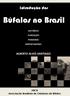 Introdução dos. Búfalos no Brasil HISTÓRICO FUNDAÇÃO PIONEIROS IMPORTADORES ALBERTO ALVES SANTIAGO ESTUDOS E FOMENTO