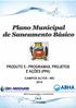 MUNICÍPIO DE CAMPOS ALTOS Plano Municipal de Saneamento Básico Programas, Projetos e Ações