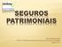 SEGUROS PATRIMONIAIS. www.sindsegsc.org.br PDES Programa de Desenvolvimento dos Executivos do Seguro Agosto/2013