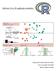 Software Livre R: aplicação estatística. Emanuel Fernando Maia de Souza Luiz Alexandre Peternelli Márcio Pupin de Mello