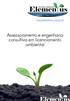 www.elementus-sa.com.br Assessoramento e engenharia consultiva em licenciamento ambiental