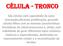 CÉLULA - TRONCO. São células com capacidade de autorenovação,eficiente