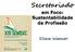 Secretariado. em Foco: Sustentabilidade da Profissão. Eliane Wamser