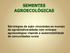 Estratégias de ação vinculadas ao manejo da agrobiodiversidade com enfoque agroecológico visando a sustentabilidade de comunidades rurais